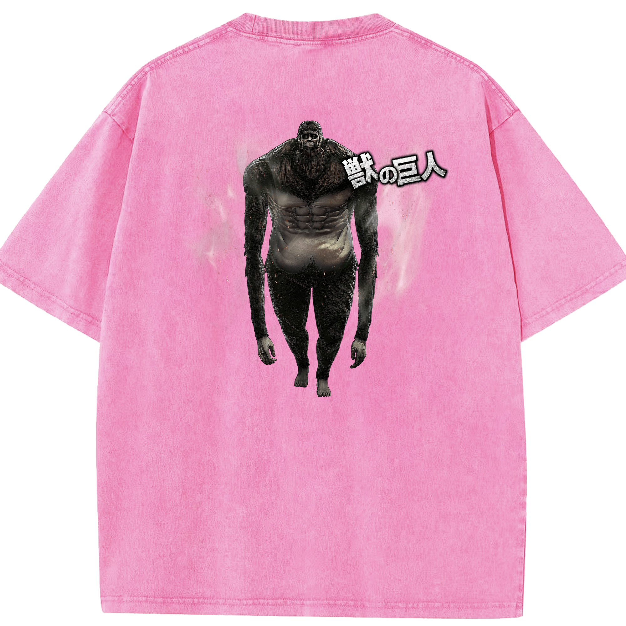 （画像用） 進撃の巨人 Attack on Titan 綿100% ヴィンテージ風 半袖Tシャツ（背面プリント）